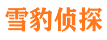 青河寻人公司